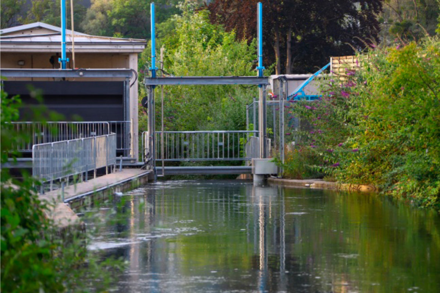 Neues Kleinwasserkraftwerk in unserer Community